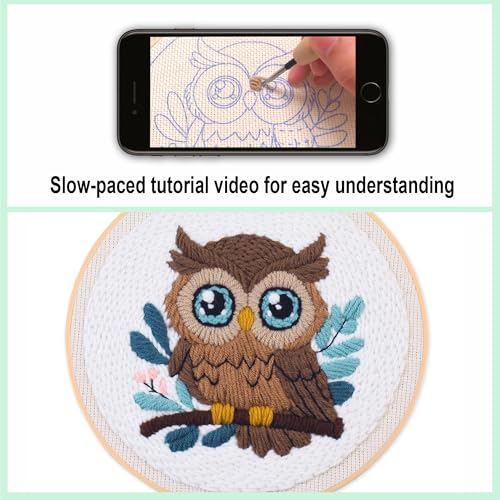 Myfelicity Adorable Owl Punch Needle Kit – Beginner-Friendly DIY Craft Set with Wool, Needle, Pattern, and Tools – Fun Felted Animal Project for Creative Hobbyists - color: owl