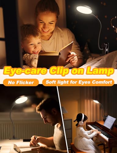 Desk Lamp with Clamp-HLXS-111 (Warm/White Light with USB Port-10W)