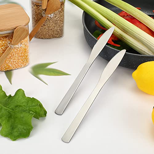 Therwen 64 Pcs Dinner Knives Set Stainless Steel Silver Butter Knives