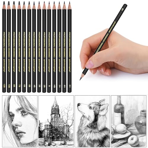 Heshengping, Sketching Pencil Drawing Pencils Set-26pcs, Art Supplies Drawing Kit,Graphite Charcoal Pro Draw Pencil Set,gift for Adults Beginners Artist for drawing sketching Copper Color Case - style: Copper | 26 Pack