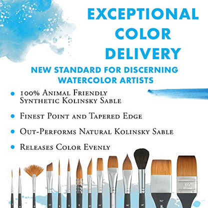 Princeton Aqua Elite Round Travel Brush, Synthetic, Short Handle, Size 10, 1 Count - size: Size 10