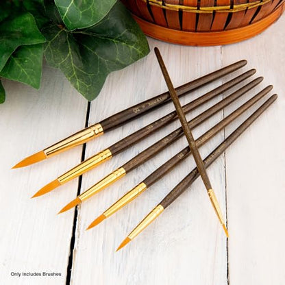 Royal & Langnickel Royal Zip N' Close Gold Taklon Round 6-Piece Brush Set