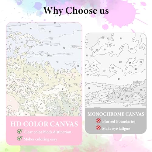 Dawnsphere Flowers Paint by Numbers Kit for Adults Without Frame 16x20 in - color: OP-US06