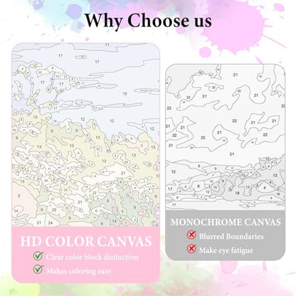 Dawnsphere Flowers Paint by Numbers Kit for Adults Without Frame 16x20 in - color: OP-US06