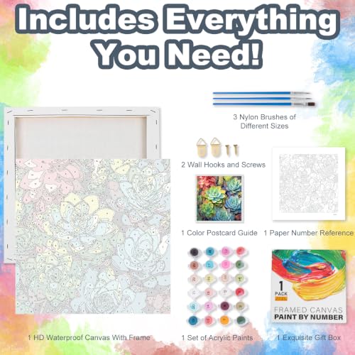 Succulents Framed Paint by Numbers Kit for Adults Beginner 10x10 inch - color: Frame-OP-US14