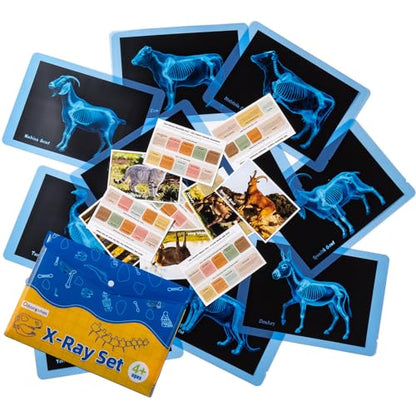 Farm Animal Xrays - 140 Pcs Translucent Pattern Blocks, Sensory Light Table Toy Set for Kids, Artist Tracing Light Box, LED Light Up Sensory Table Toys