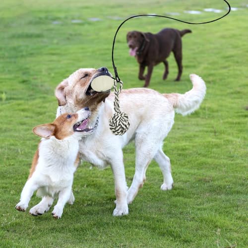 Flirt Pole for Dogs, Interactive Toys Tug-of-war for Dogs, Five-Section Retractable Adjustable Length, Chase Toys with Rope Chewing Sticks, for Outdoor Exercise & Training - size: 59Inch Pole-Black