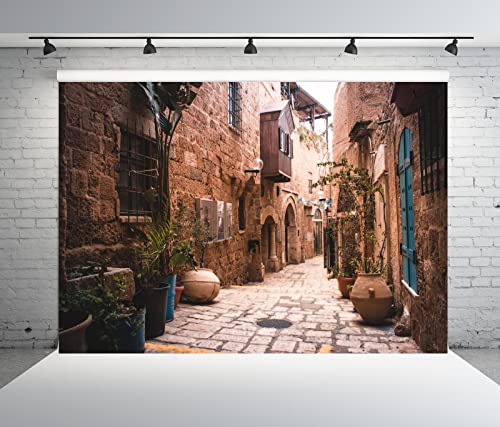 BELECO 9x6ft Fabric Old City Street Backdrop Israel Retro Stone Houses Wall Flowerpots Nostalgia Pictures Background Kids Adults Portrait Photoshoot Studio Photography Background Props - size: 9x6FT
