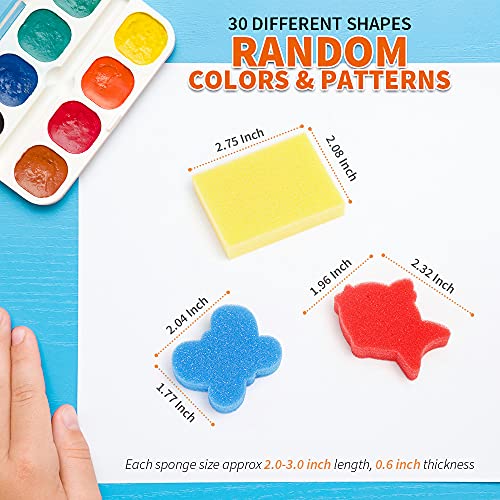 LEOBRO 30pcs Sponges for Painting, Shape Sponge Paint Applicators, Paint Sponges for Crafts, Foam Sponge Stamps, Assorted Pattern