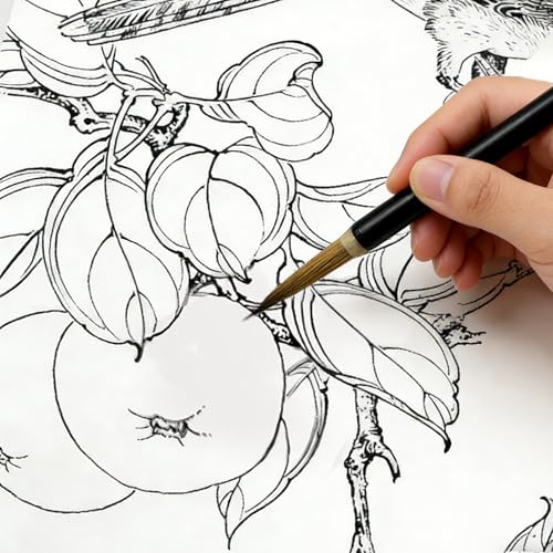 Chinese Painting Brushes Set Flower Bird Line Drawing-3PCS-Large - size: 2.8CM