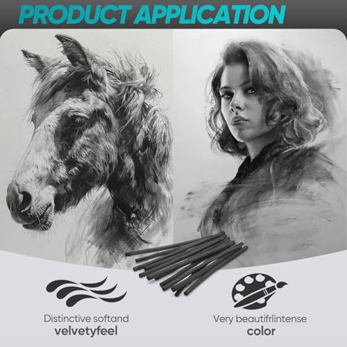 100 Pcs Willow Charcoal Sticks,Black for Sketching Drawing