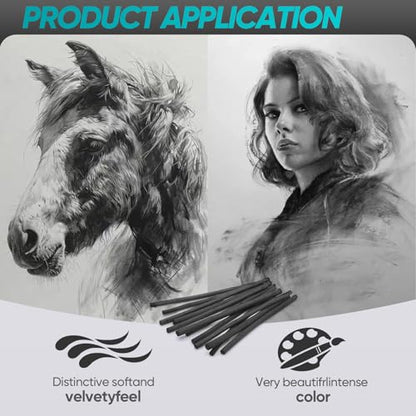 100 Pcs Willow Charcoal Sticks,Black for Sketching Drawing