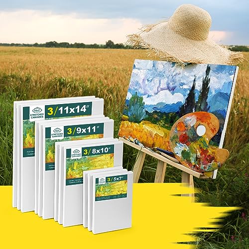 Inburit 12 PCS Multi Size Stretched Blank Canvas for Acrylic & Oil Painting - size: 12PCS+(4sizex3)