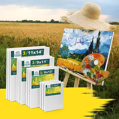 Inburit 12 PCS Multi Size Stretched Blank Canvas for Acrylic & Oil Painting - size: 12PCS+(4sizex3)