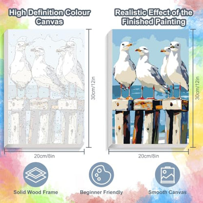 Kalonyth Seagull Framed Paint by Numbers Kit for Adults Beginner 8x12 inch - color: Frame-OP-US05