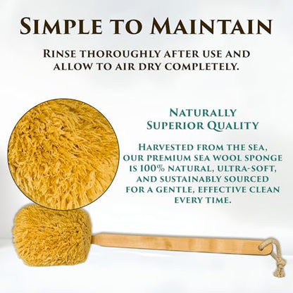 The Grecian Soap Company Natural Sponge on a Stick - Sea Wool
