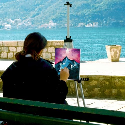 AmazingSpark 12 Set Sip and Paint Kit for Adults Pre Drawn Canvas,Scenery - style: Brilliant Scenery