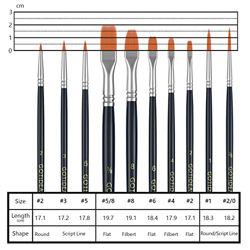 GOTIDEAL Paint Brush Set 10 Pcs with Acrylic Paint Set,8 Primary Colors（(120ml,4 oz)