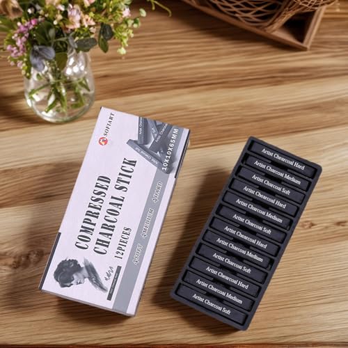 Compressed Charcoal Sticks, 12 Pieces (Soft, Medium, Hard) Square Vine Charcoal Sticks for Drawing, Sketching, Shading, Charcoal Drawing Set for Beginners & Pro Artists