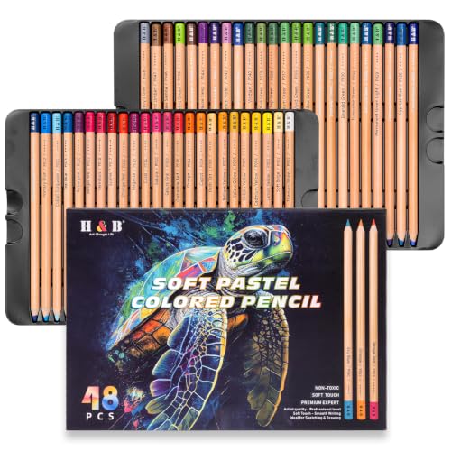 H & B 48 Soft Chalk Pastel Pencils for Artists & Adults - size: 1 Count (Pack of 48)