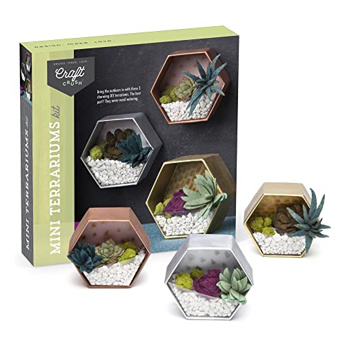 Craft Crush — Mini Plants Terrariums Easy Fun Arts and Craft Kit — Make 3 Charming Faux Terrariums! — For Ages 13 and Up - size: Mini, style: Craft Crush Mini Terrariums Craft Kit