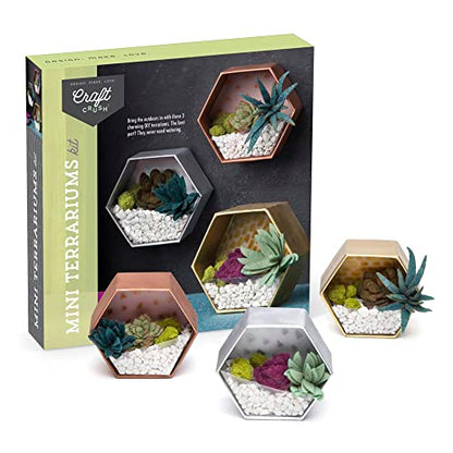 Craft Crush — Mini Plants Terrariums Easy Fun Arts and Craft Kit — Make 3 Charming Faux Terrariums! — For Ages 13 and Up - size: Mini, style: Craft Crush Mini Terrariums Craft Kit