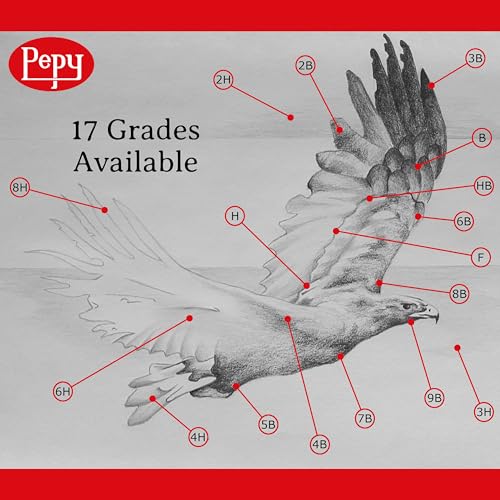 Pepy Graphite Professional Drawing Pencils - Set of 12 4H Pre-Sharpened Black Lead Pencils; Perfect for Drawing, Sketching and Shading, Graphic and Fine Art - style: Set of 12 - 4H