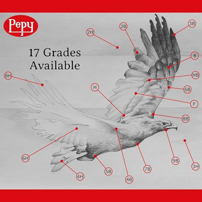 Pepy Graphite Professional Drawing Pencils - Set of 12 4H Pre-Sharpened Black Lead Pencils; Perfect for Drawing, Sketching and Shading, Graphic and Fine Art - style: Set of 12 - 4H