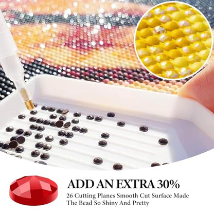 Diamond Art Kits for Adults, Aurora DIY 5D Diamond Painting for Beginners - color: BLKJDP11