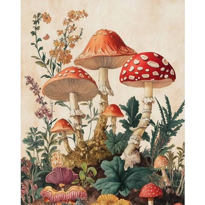 Dawnsphere Mushroom Paint by Numbers Kit for Adults Without Frame 16x20 in - color: OP-US14