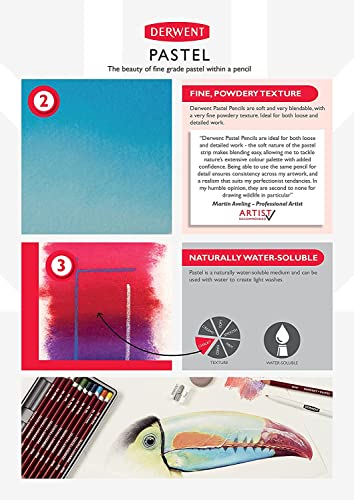 Derwent Pastel Pencils, 4mm Core, Metal Tin, 12 Count (32991) - size: 1 Count (Pack of 12)