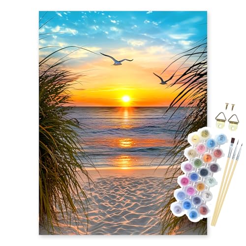 Paint by Numbers Kit for Adults, Beach Sunset Art for Beginners, 16x20 Inch - color: Sunset