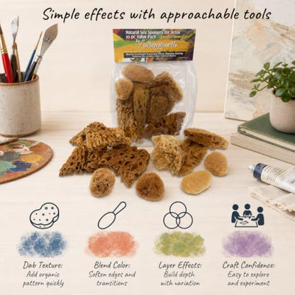 Natural Sea Sponges 10pk for Artists, 2"-4" Unbleached, Painting & Crafts