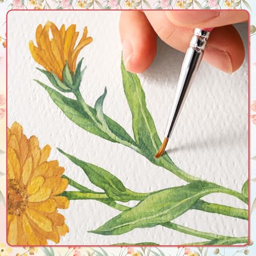 20 Sets Watercolor Cards with Envelopes, 4x6 Folded, 140Lb Cold Press - size: 4x6 Inch
