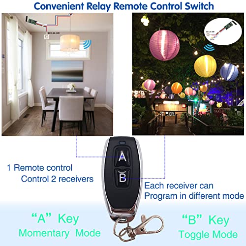 DieseRC 2 Receiver Modules with 2 Transmitters Wireless Remote Control Switch DC 3.6V 5V 12V 24V 30V 2A 1 Channel 433Mhz Radio Control Remote Switch Small Mini Size Controller