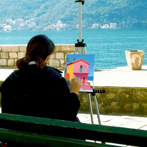 Dinifee 6 Pack Pre Drawn Canvas 8x10 Paint Kit for Adults, Colorful Hawaii - style: Colorful Hawaii