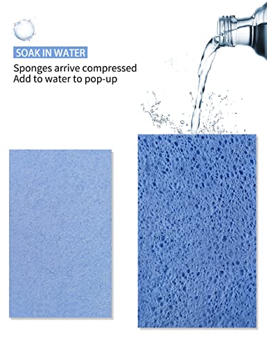 8-Pack Pop-Up Cellulose Sponges – Large, Compressed, Eco-Friendly & Plastic-Free for Kitchen, Bathroom & Home - style: Pop Up Large 8 Pack