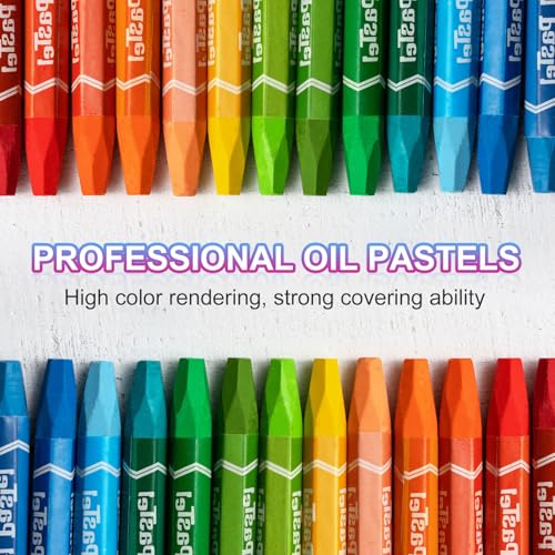 PATIKIL Grey Oil Pastels, 12Pcs Soft Oil Crayons Vibrant and Creamy Pastels Stick Art Supplies for Art Painting Drawing Blending Graffiti for Artists Beginners - color: Grey