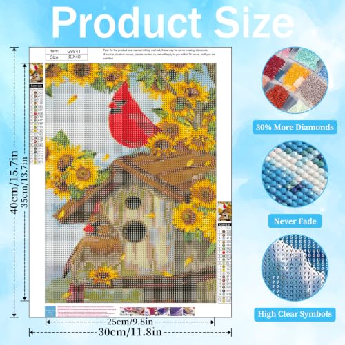 xcemhil Cardinal Diamond Art Kits for Adults, Bird 5D Diamond Painting Kits - color: 09-Bird, size: 12x16 inch