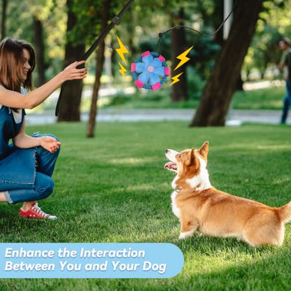 Flirt Pole for Dogs, Interactive Toys Tug-of-war for Dogs, Five-Section Retractable Adjustable Length, Chase Toys with Rope Chewing Sticks, for Outdoor Exercise & Training - size: 59Inch Pole-Black