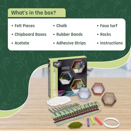 Craft Crush — Mini Plants Terrariums Easy Fun Arts and Craft Kit — Make 3 Charming Faux Terrariums! — For Ages 13 and Up - size: Mini, style: Craft Crush Mini Terrariums Craft Kit