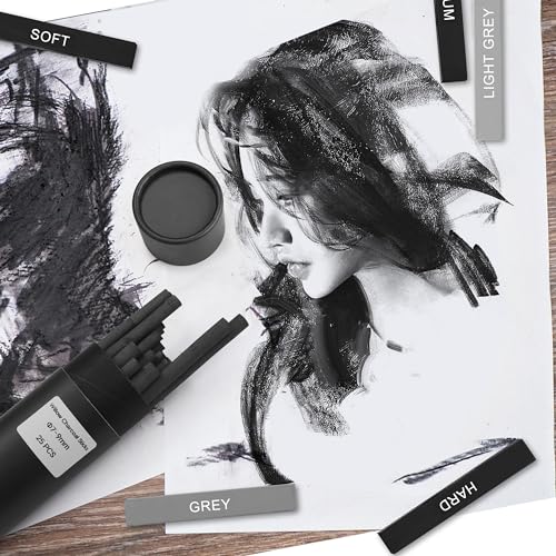 24 Pcs Compressed Charcoal Sticks, 25 Pcs Willow Charcoal Sticks Pencils for Sketching, Drawing, and Shading