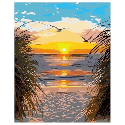 Paint by Numbers Kit for Adults, Beach Sunset Art for Beginners, 16x20 Inch - color: Sunset