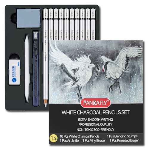 PANDAFLY Professional White Charcoal Pencils Set, 14 Piece - color: White, size: 1 Count (Pack of 14)