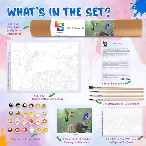 Ledgebay Paint by Numbers Kit for Adults, 16x20 Unframed Canvas - color: Hummingbird, size: 16" x 20" Unframed