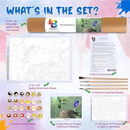 Ledgebay Paint by Numbers Kit for Adults, 16x20 Unframed Canvas - color: Hummingbird, size: 16" x 20" Unframed