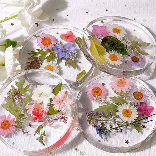 Silicone Resin Coaster Mold Set, 3.93-Inch Round, 0.82-Inch Deep Reusable Flexible Mold for Epoxy Resin Casting with 3 Tools, LeilieCSC