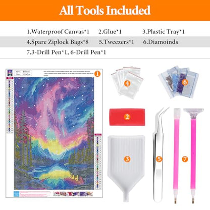 Diamond Art Kits for Adults, Aurora DIY 5D Diamond Painting for Beginners - color: BLKJDP12