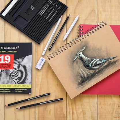 MARTCOLOR Charcoal Drawing Set, 19 Pieces, Black & White Charcoal Pencils - color: Black & White-19 Pack