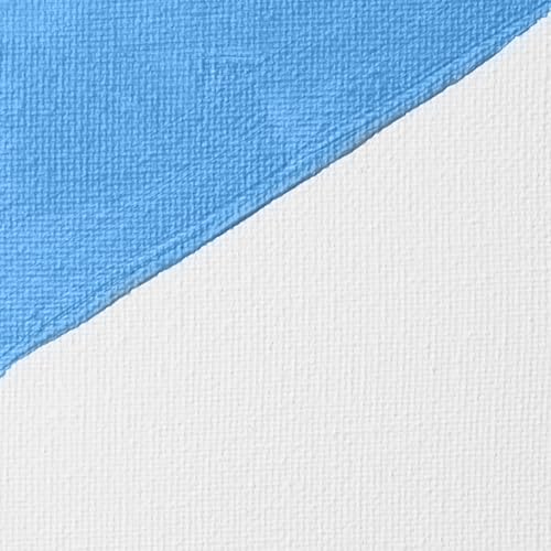 Liquitex Professional Gesso Surface Prep Medium, 237ml (8-oz), White - color: White, size: 8 Fl Oz (Pack of 1), style: 8-oz